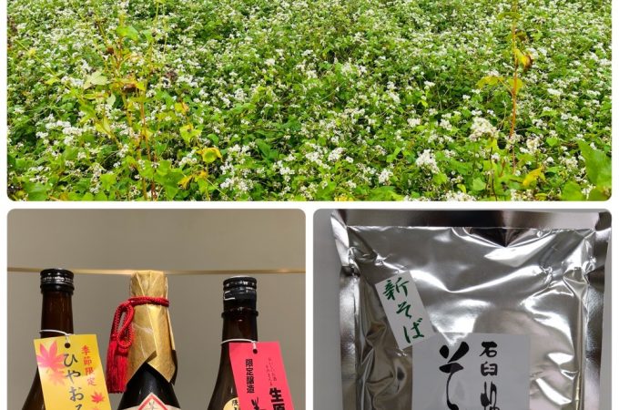 鹿追町蕎麦畑と三重の新酒のご案内