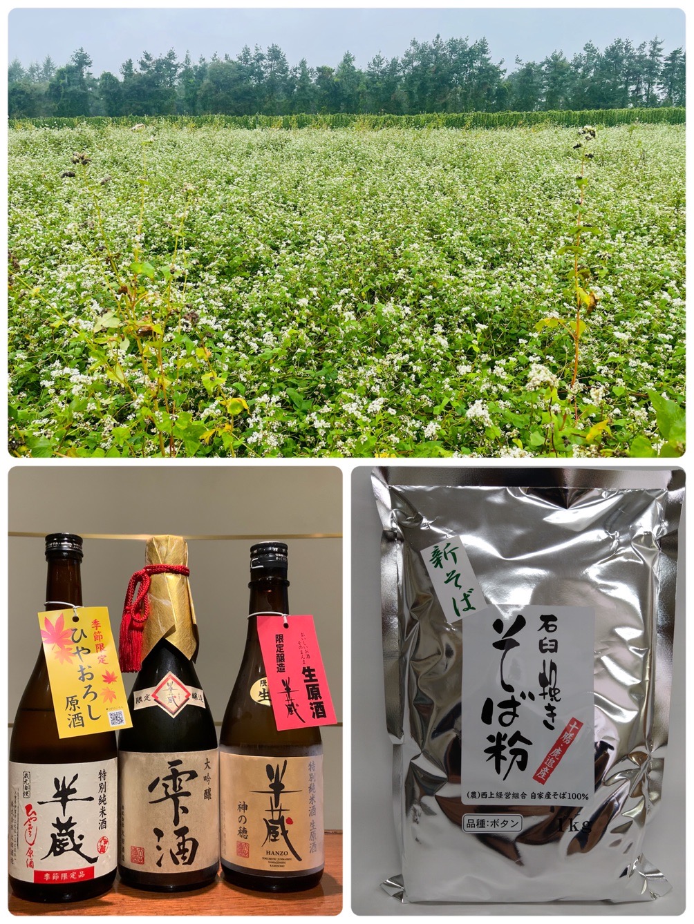 鹿追町蕎麦畑と三重の新酒のご案内